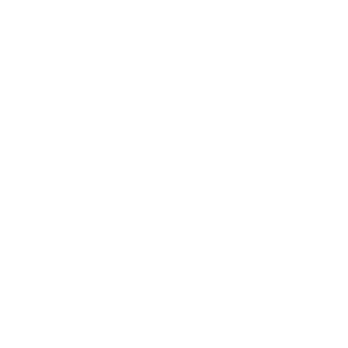 Riot! Silver Vinyl - Paramore Official Store